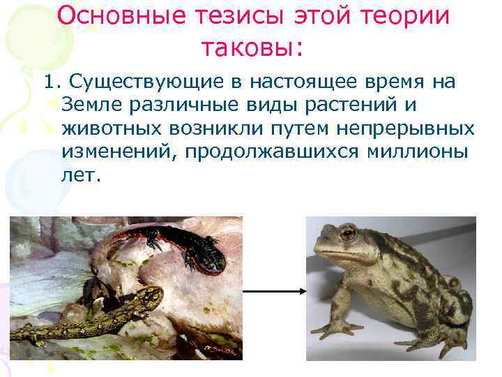 Основные тезисы этой теории таковы: 1. Существующие в настоящее время на Земле различные виды