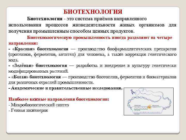 БИОТЕХНОЛОГИЯ Биотехнология - это система приёмов направленного использования процессов жизнедеятельности живых организмов для получения