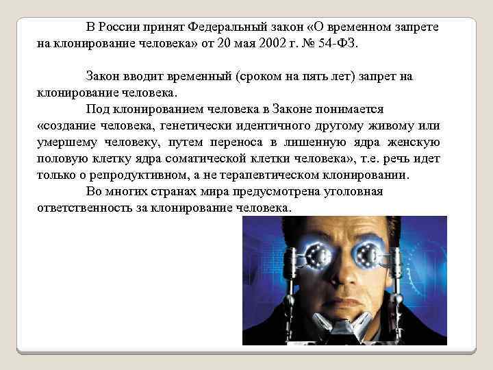 В России принят Федеральный закон «О временном запрете на клонирование человека» от 20 мая