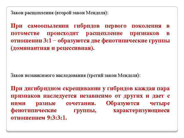 Закон расщепления (второй закон Менделя): При самоопылении гибридов первого поколения в потомстве происходит расщепление