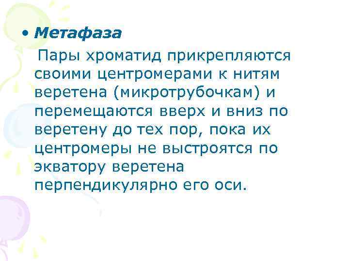  • Метафаза Пары хроматид прикрепляются своими центромерами к нитям веретена (микротрубочкам) и перемещаются