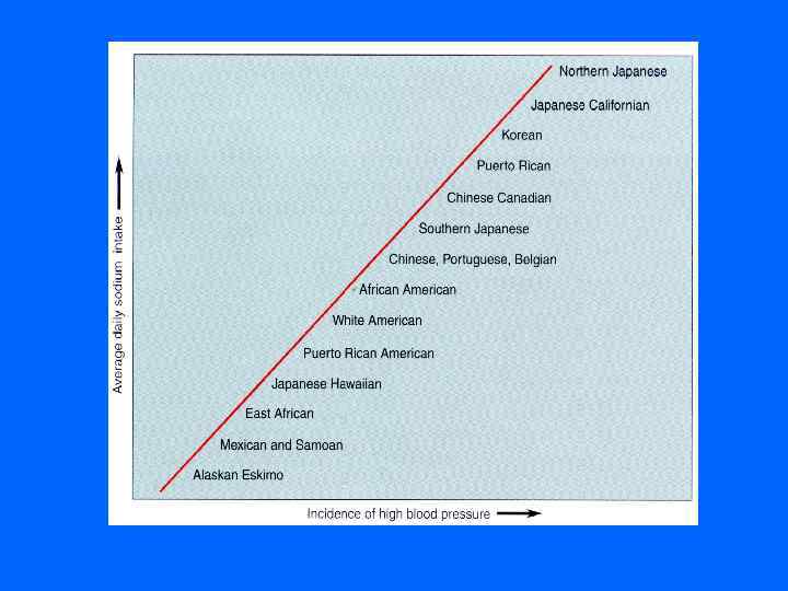  Разреживание микроциркулятрного русла в m. extensor hallucius proprius у спонтанно гипертензивных крыс Линия