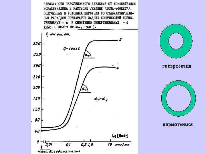  Протекторное действие адаптации к гипоксии на развитие спонтанной, наследственно детерминированной гипертензии и на