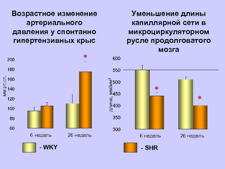 Долговременная регуляция АД осуществляется почечным механизмом Длительно АД может иметь только такой уровень, при