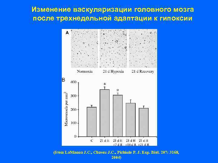  Генетические Факторы факторы окружающей среды Дефекты гомеостаза Функциональная Дефекты роста и натрия в