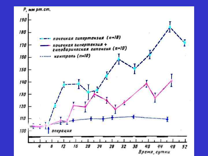 Корреляция между активностью Na+ - K+ Cl- котранспорта и величиной артериального давления у гибридов