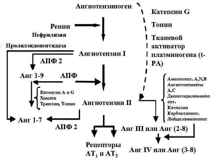  Инсульт – остро развивающееся локальное расстройство мозгового кровообращения (ишемия), сопровождающееся повреждением вещества мозга