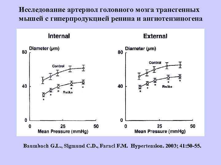  СТРАТЕГИЧЕСКИЕ НАПРАВЛЕНИЯ ПАТОГЕНЕТИЧЕСКОЙ ТЕРАПИИ ИШЕМИЧЕСКИХ НАУШЕНИЙ МОЗГОВОГО КРОВООБРАЩЕНИЯ • Восстановление кровотока в зоне