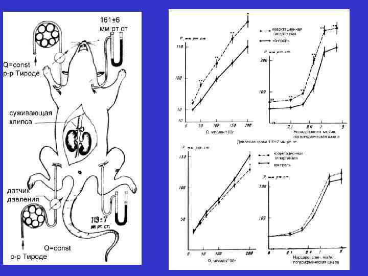 Факторы риска, поддающиеся коррекции (treatable) гипертензия заболевания сердца, ос-но фибрилляция п/с курение транзиторные