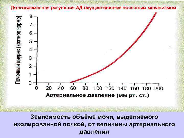  Ишемия Клеточная гипоксия Увеличение Митохондриальная выделения недостаточность глутамата Падение аккумуляции Падение кальция продукции