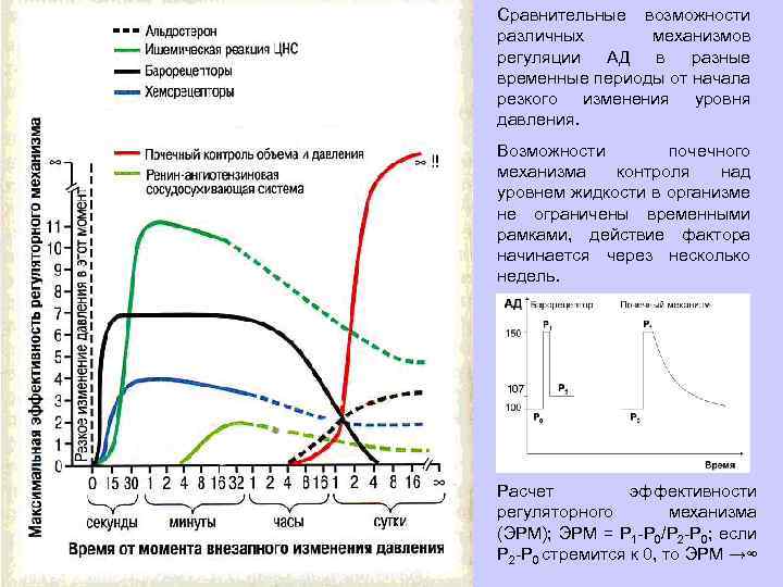 Моделирование фокальной ишемии и методы оценки размера инфаркта Гистохимический метод окрашивания ТТХ место коагуляции