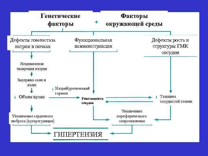 ПРЕКОНДИЦИОНИРОВАНИЕ – АКТИВАЦИЯ СРОЧНЫХ ЗАЩИТНЫХ МЕХАНИЗМОВ АДАПТАЦИИ В РЕЗУЛЬТАТЕ КОРОТКОГО ЭПИЗОДА СЛАБОГО, НЕПОВРЕЖДАЮЩЕГО ГИПОКСИЧЕСКОГО