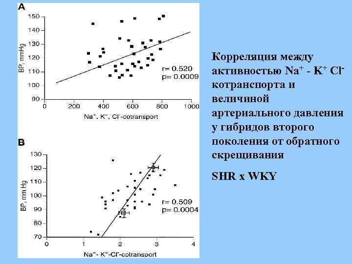 МРТ-изображение фокального очага поражения головного мозга, вызванного окклюзией средней мозговой артерии Область Область поражения