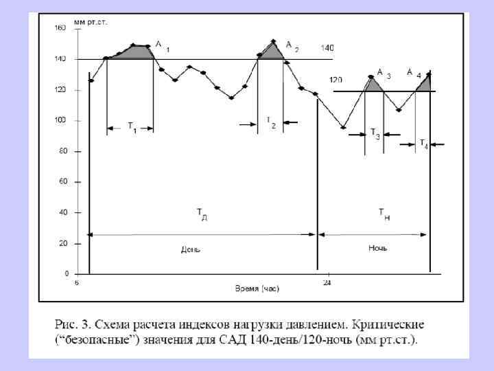 Буферная роль барорефлекса: уменьшение отклонений артериального давления от среднего уровня ( «снижение вариабельности АД»