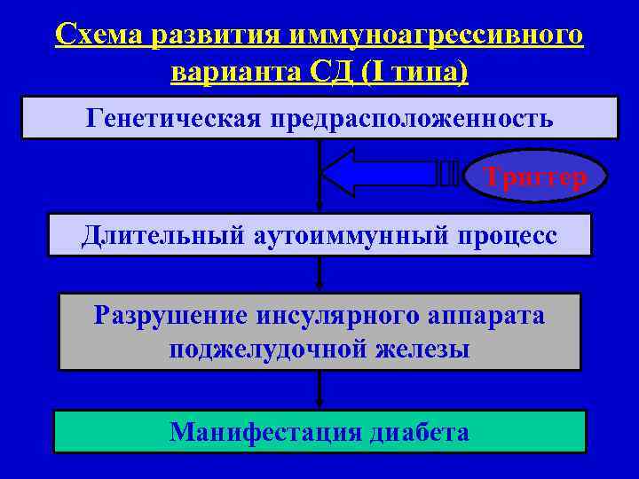 Схема развития иммуноагрессивного варианта СД (I типа) Генетическая предрасположенность Триггер Длительный аутоиммунный процесс Разрушение