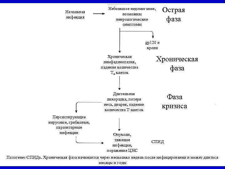 Вич инфекция патогенез схема