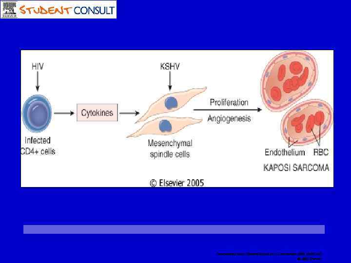 Downloaded from: Student. Consult (on 12 November 2008 10: 09 AM) © 2005 Elsevier