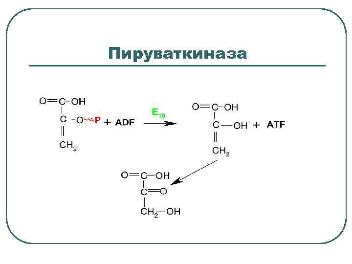 Пируваткиназа 