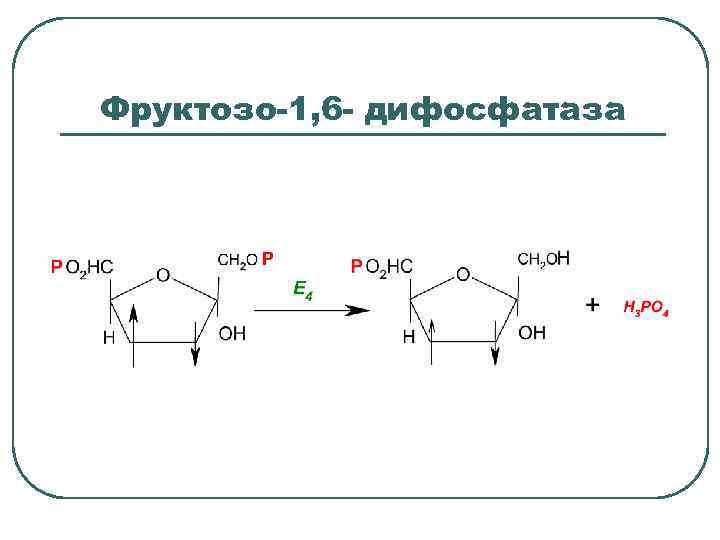 Фруктозо-1, 6 - дифосфатаза 