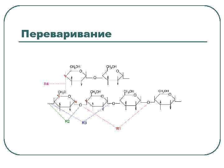 Переваривание 