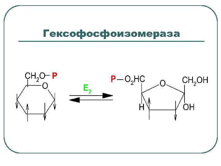 Гексофосфоизомераза 