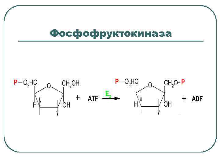 Фосфофруктокиназа 