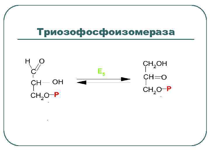 Триозофосфоизомераза 