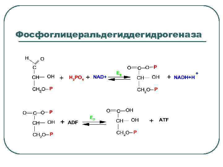 Фосфоглицеральдегидрогеназа 