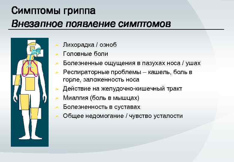 Симптомы гриппа Внезапное появление симптомов Лихорадка / озноб Головные боли Болезненные ощущения в пазухах