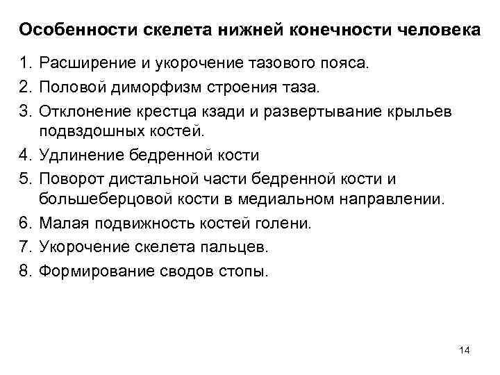 Особенности скелета нижней конечности человека 1. Расширение и укорочение тазового пояса. 2. Половой диморфизм