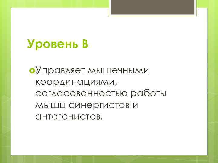 Уровень В Управляет мышечными координациями, согласованностью работы мышц синергистов и антагонистов. 