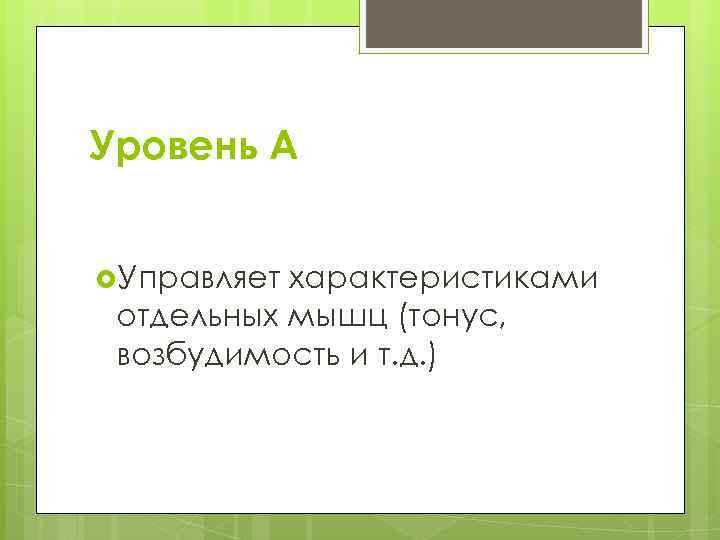 Уровень А Управляет характеристиками отдельных мышц (тонус, возбудимость и т. д. ) 