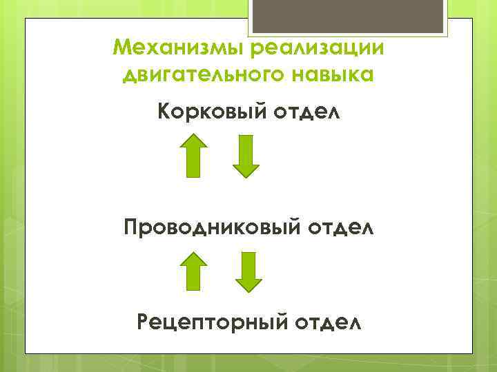 Механизмы реализации двигательного навыка Корковый отдел Проводниковый отдел Рецепторный отдел 