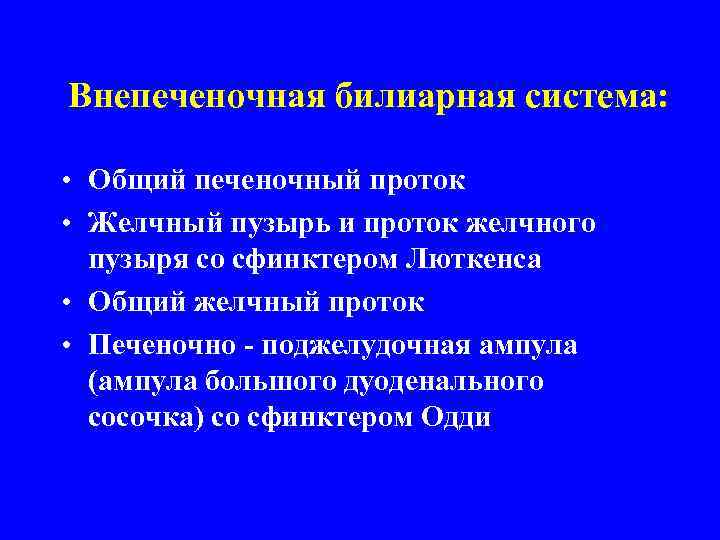 Внепеченочная билиарная система: • Общий печеночный проток • Желчный пузырь и проток желчного пузыря