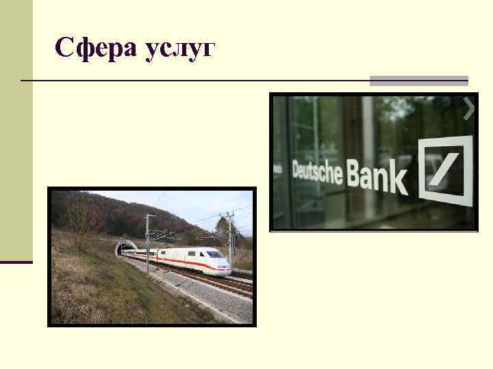 Сфера услуг 
