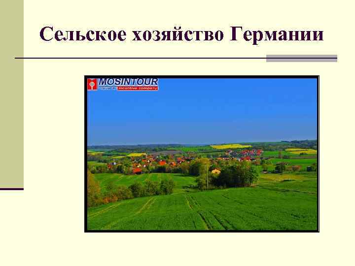 Сельское хозяйство Германии 