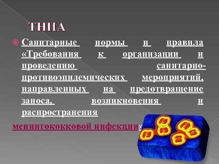 ТНПА Санитарные нормы и правила «Требования к организации и проведению санитарнопротивоэпидемических мероприятий, направленных на