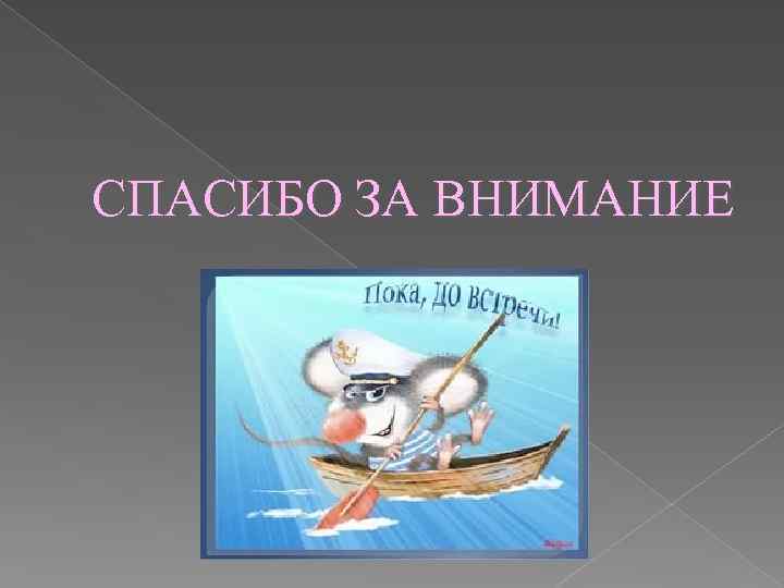 СПАСИБО ЗА ВНИМАНИЕ 