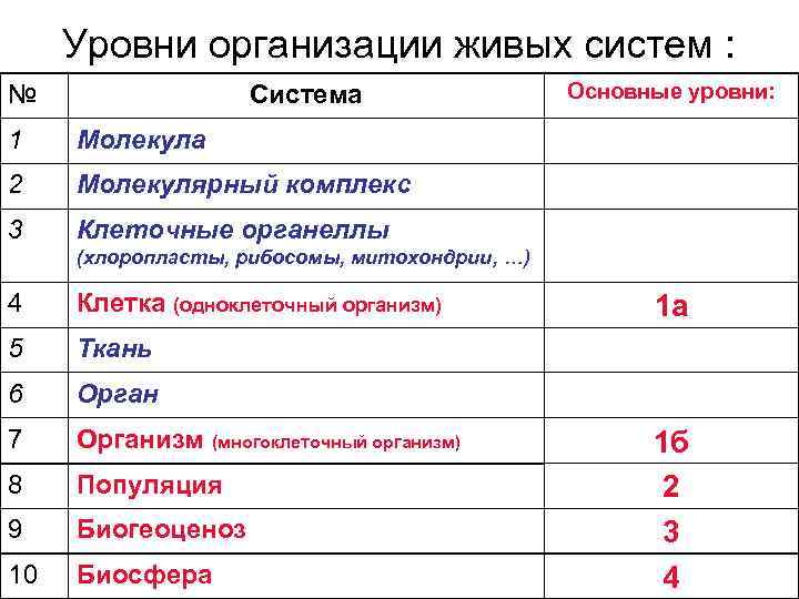 Уровни организации живых систем : № Система 1 Молекула 2 Молекулярный комплекс 3 Основные