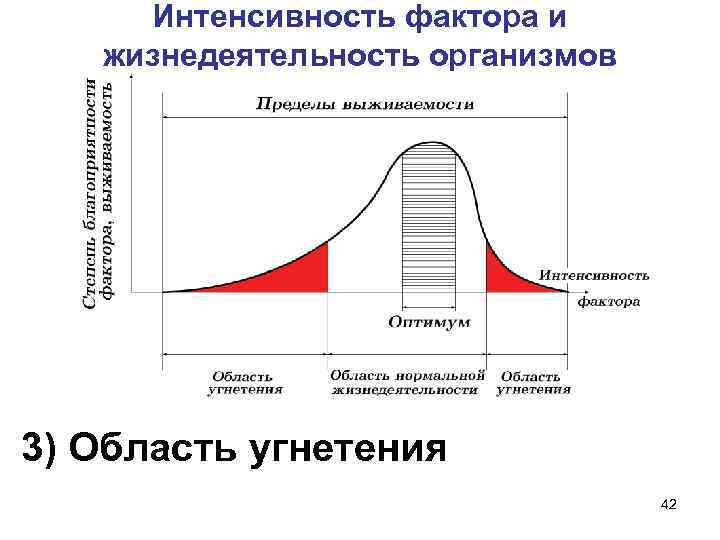 Интенсивность фактора и жизнедеятельность организмов 3) Область угнетения 42 