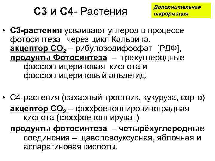 С 3 и С 4 - Растения Дополнительная информация • С 3 -растения усваивают