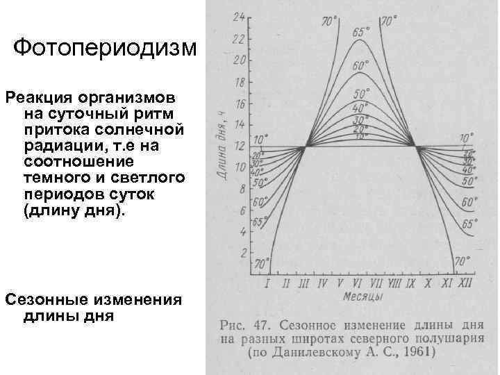 Фотопериодизм Реакция организмов на суточный ритм притока солнечной радиации, т. е на соотношение темного