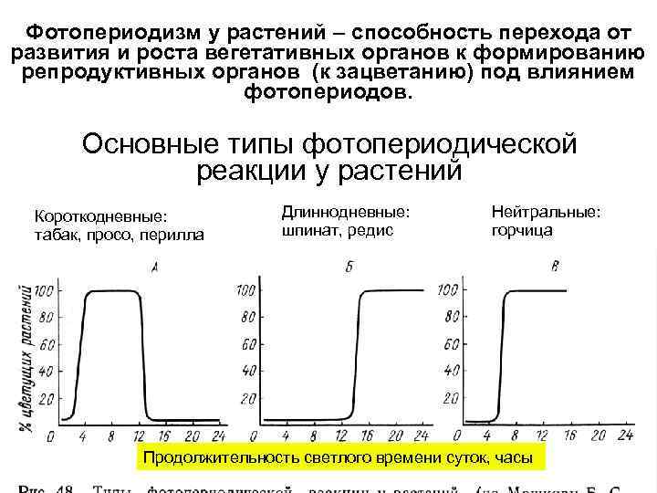 Фотопериодизм у растений – способность перехода от развития и роста вегетативных органов к формированию