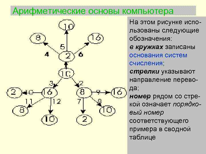 Арифметические основы компьютера На этом рисунке испо- льзованы следующие обозначения: в кружках записаны основания