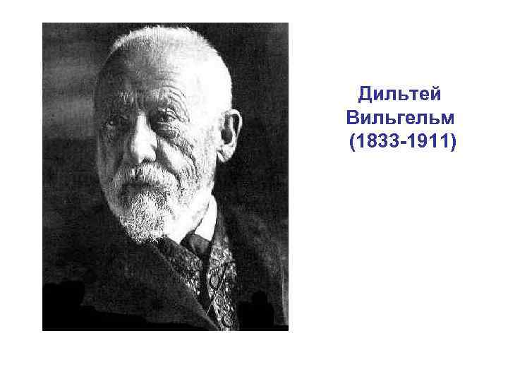  Дильтей Вильгельм (1833 -1911) 