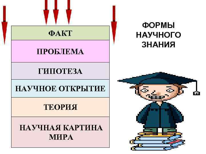 ФАКТ ПРОБЛЕМА ГИПОТЕЗА НАУЧНОЕ ОТКРЫТИЕ ТЕОРИЯ НАУЧНАЯ КАРТИНА МИРА ФОРМЫ НАУЧНОГО ЗНАНИЯ 