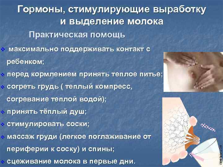 Гормоны, стимулирующие выработку и выделение молока Практическая помощь v максимально поддерживать контакт с ребенком;