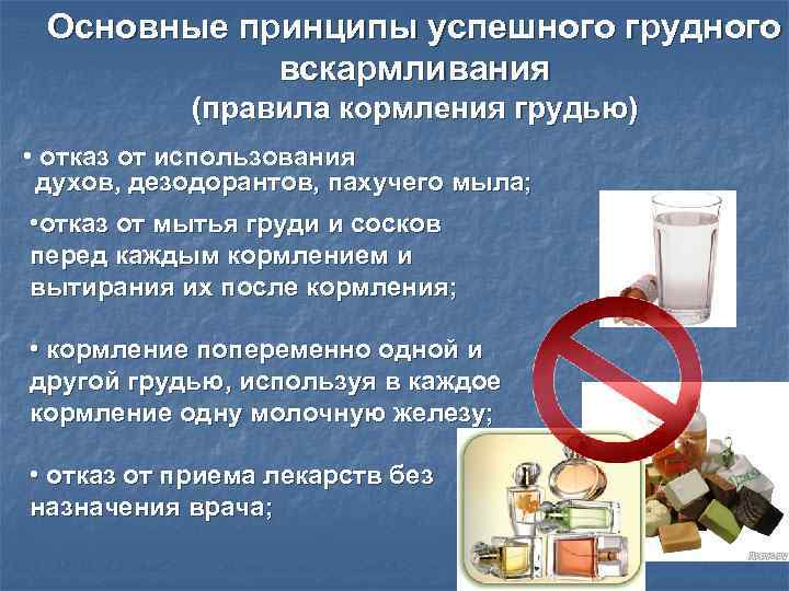 Основные принципы успешного грудного вскармливания (правила кормления грудью) • отказ от использования духов, дезодорантов,