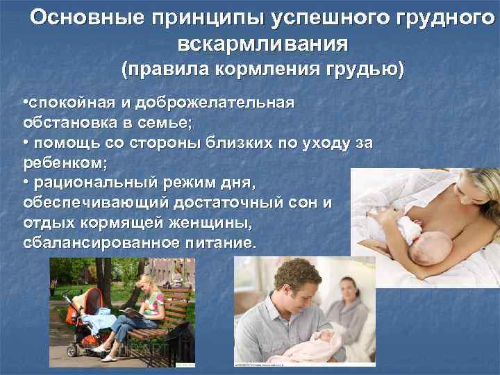 Основные принципы успешного грудного вскармливания (правила кормления грудью) • спокойная и доброжелательная обстановка в