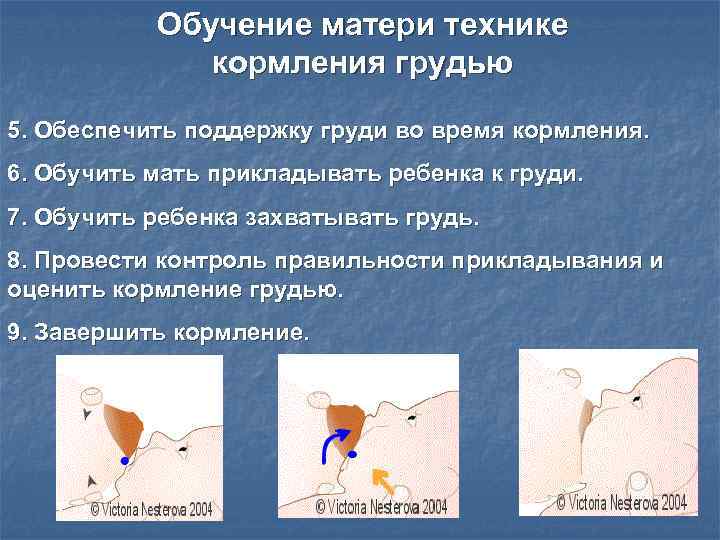 Обучение матери технике кормления грудью 5. Обеспечить поддержку груди во время кормления. 6. Обучить